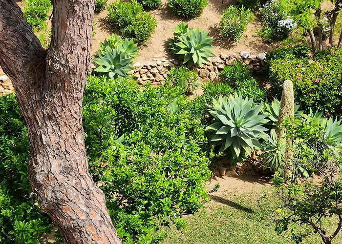 Elena Flat Lovely Paradise Above The Sea