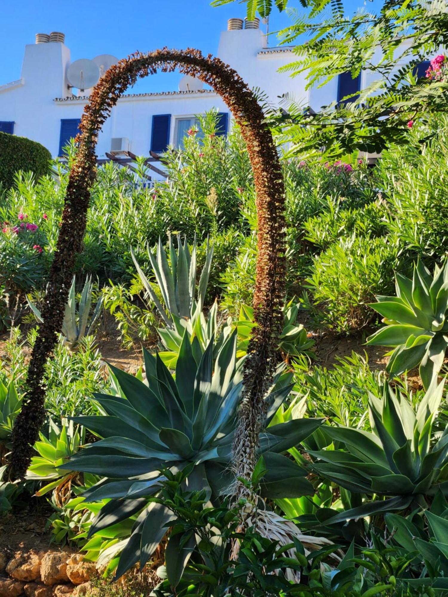 Elena Flat Lovely Paradise Above The Sea * Sitio de Calahonda