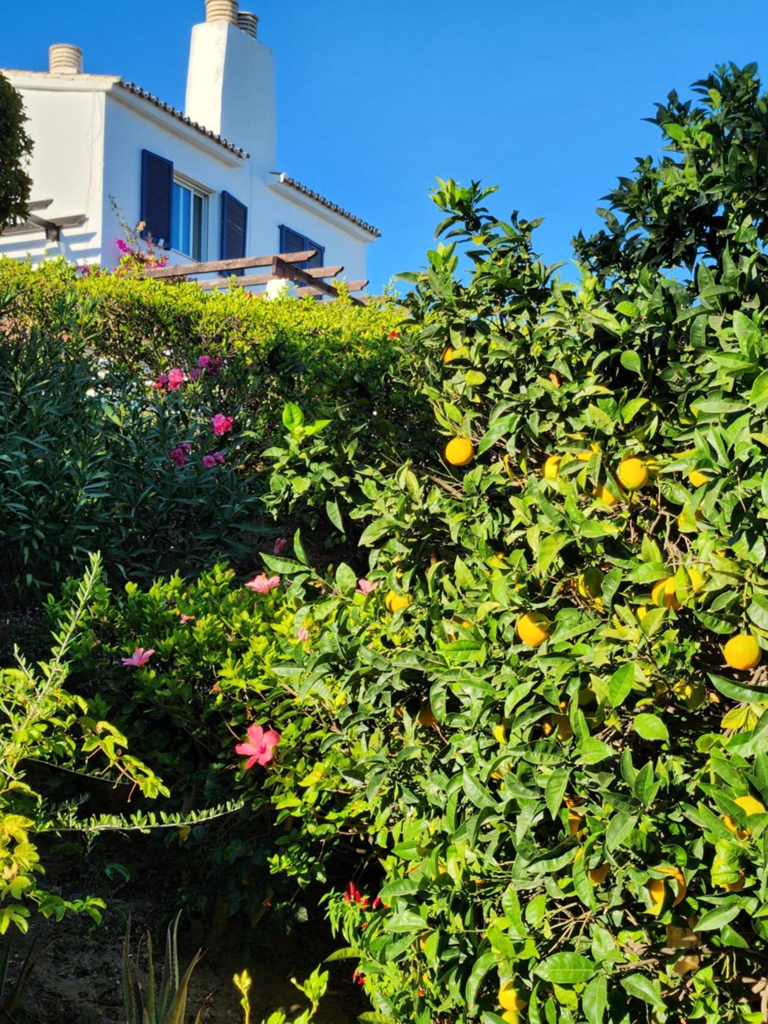 Apartamento Elena Flat Lovely Paradise Above The Sea Sitio de Calahonda